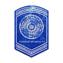 辽宁沈北禾丰女足